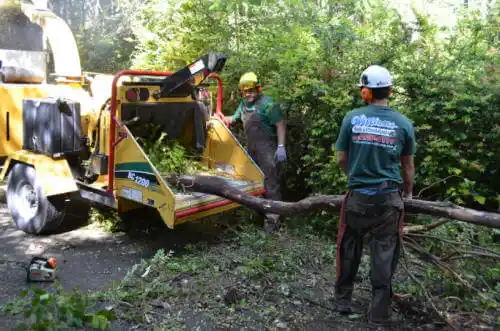 tree services South Whittier